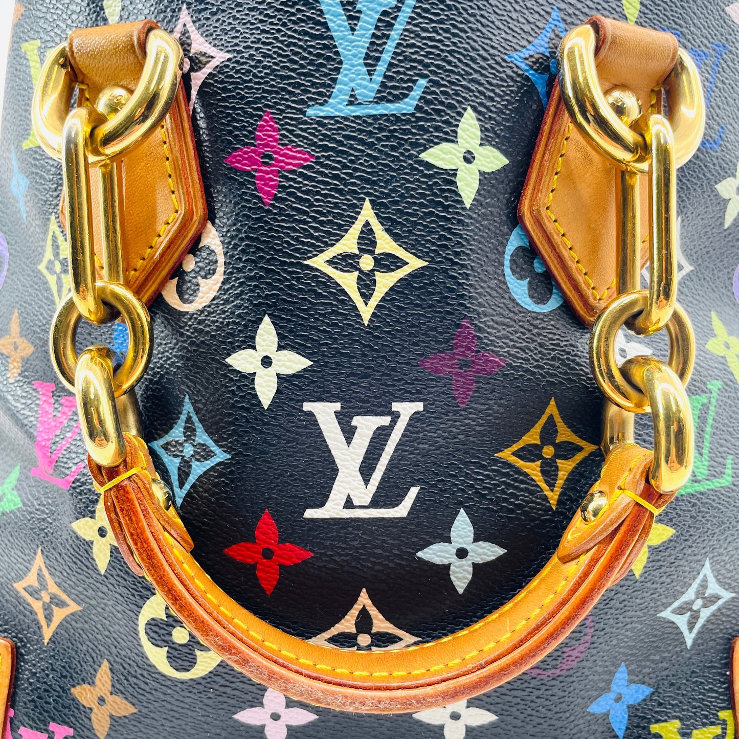 LOUIS VUITTON Multicolor Audra