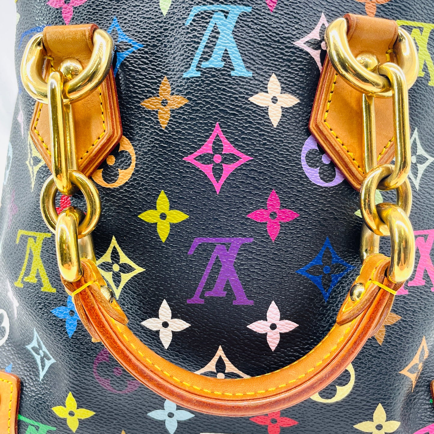 LOUIS VUITTON Multicolor Audra