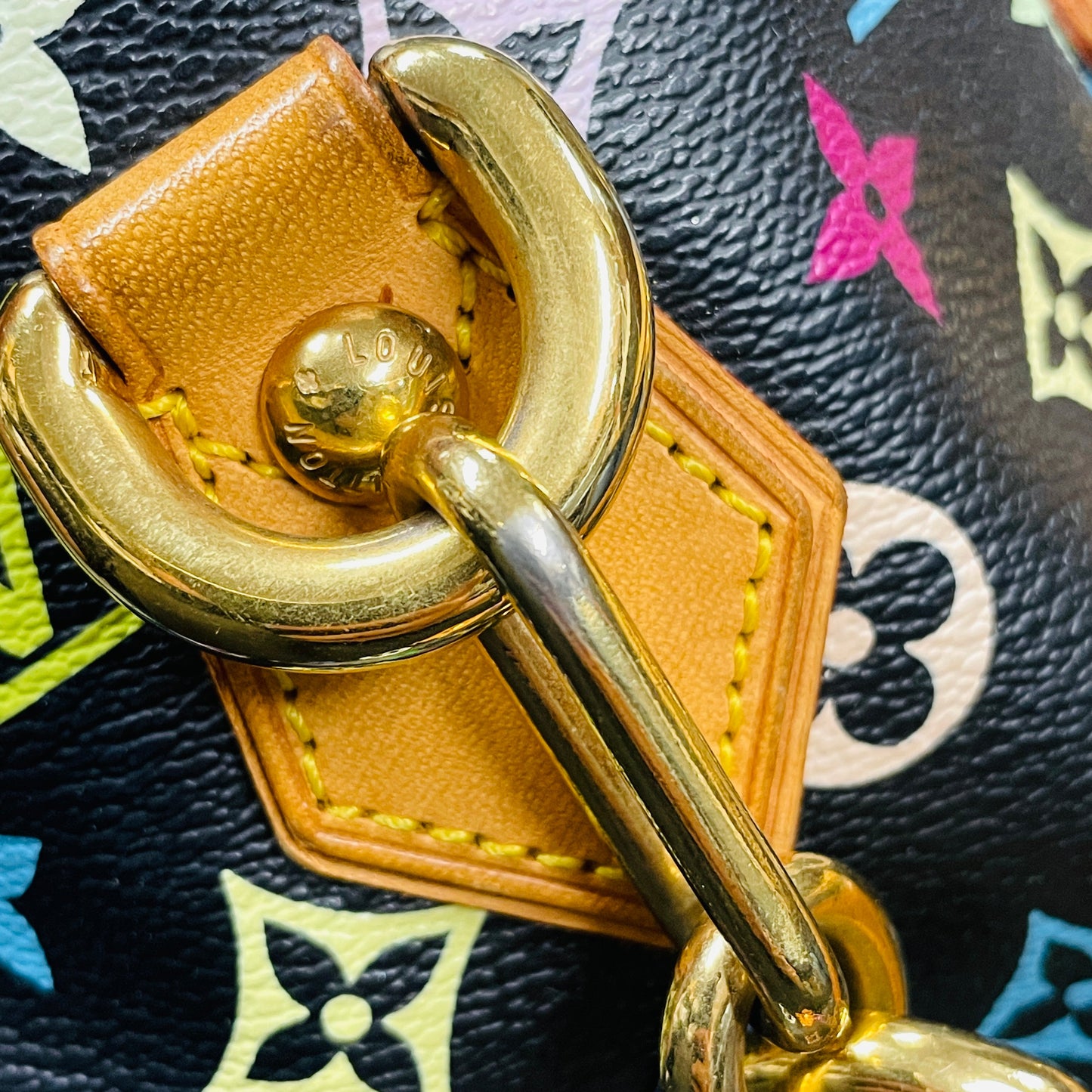 LOUIS VUITTON Multicolor Audra