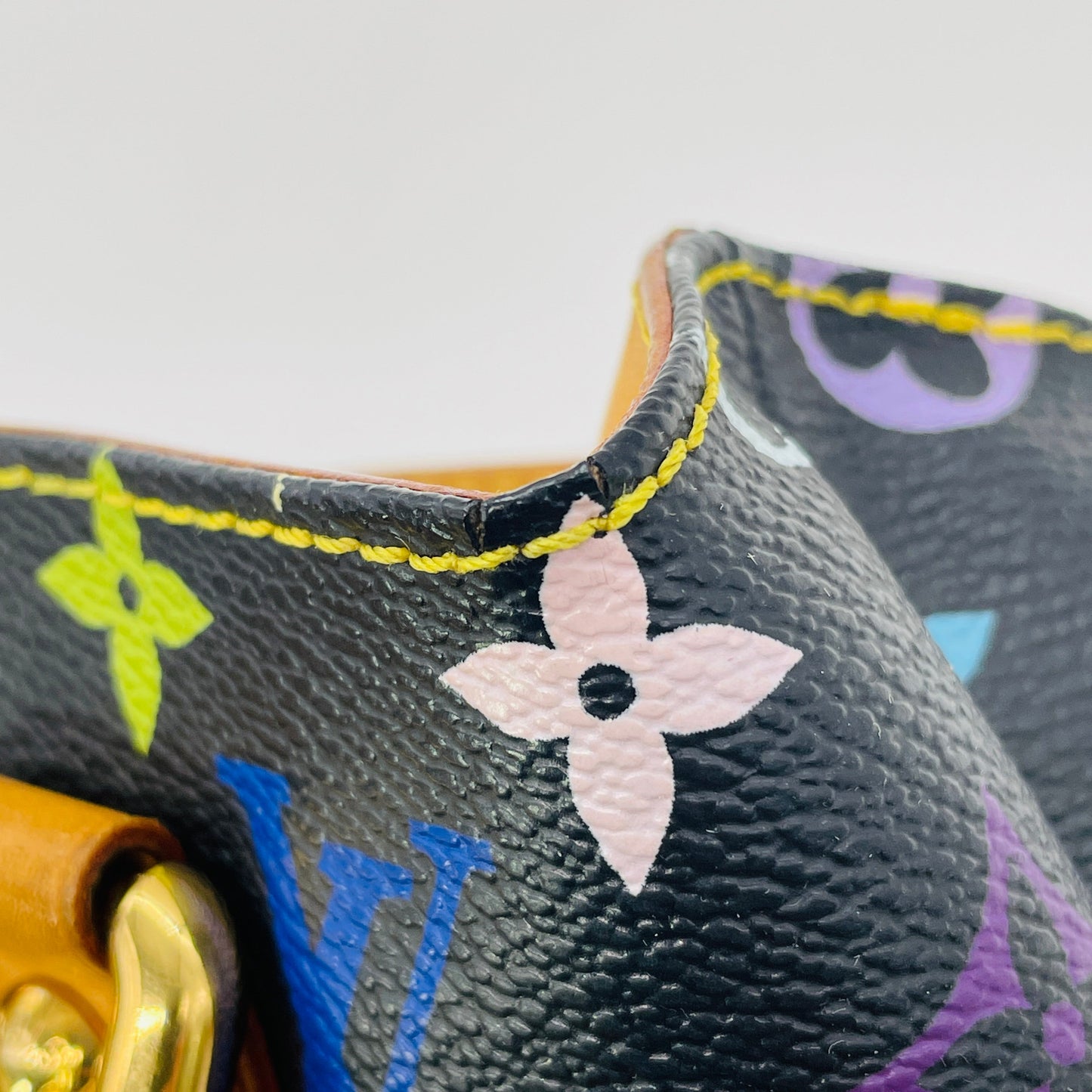 LOUIS VUITTON Multicolor Audra