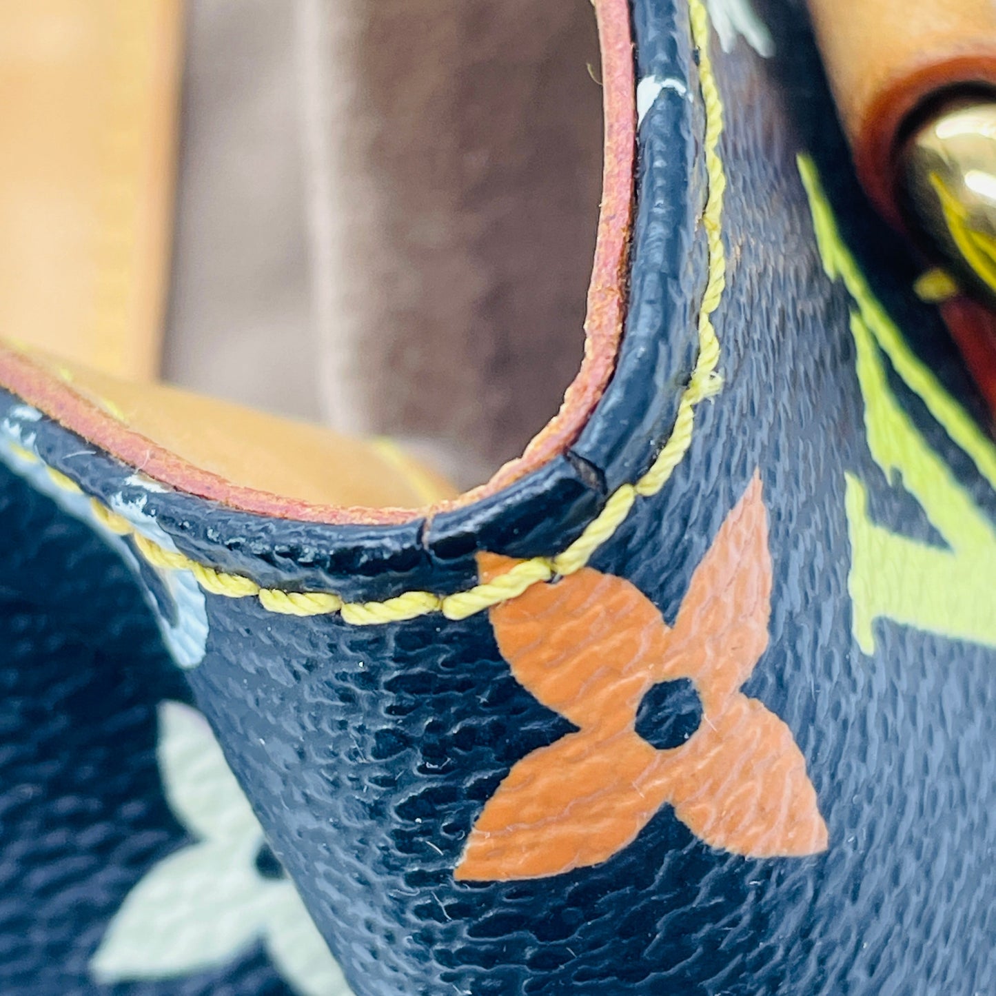 LOUIS VUITTON Multicolor Audra