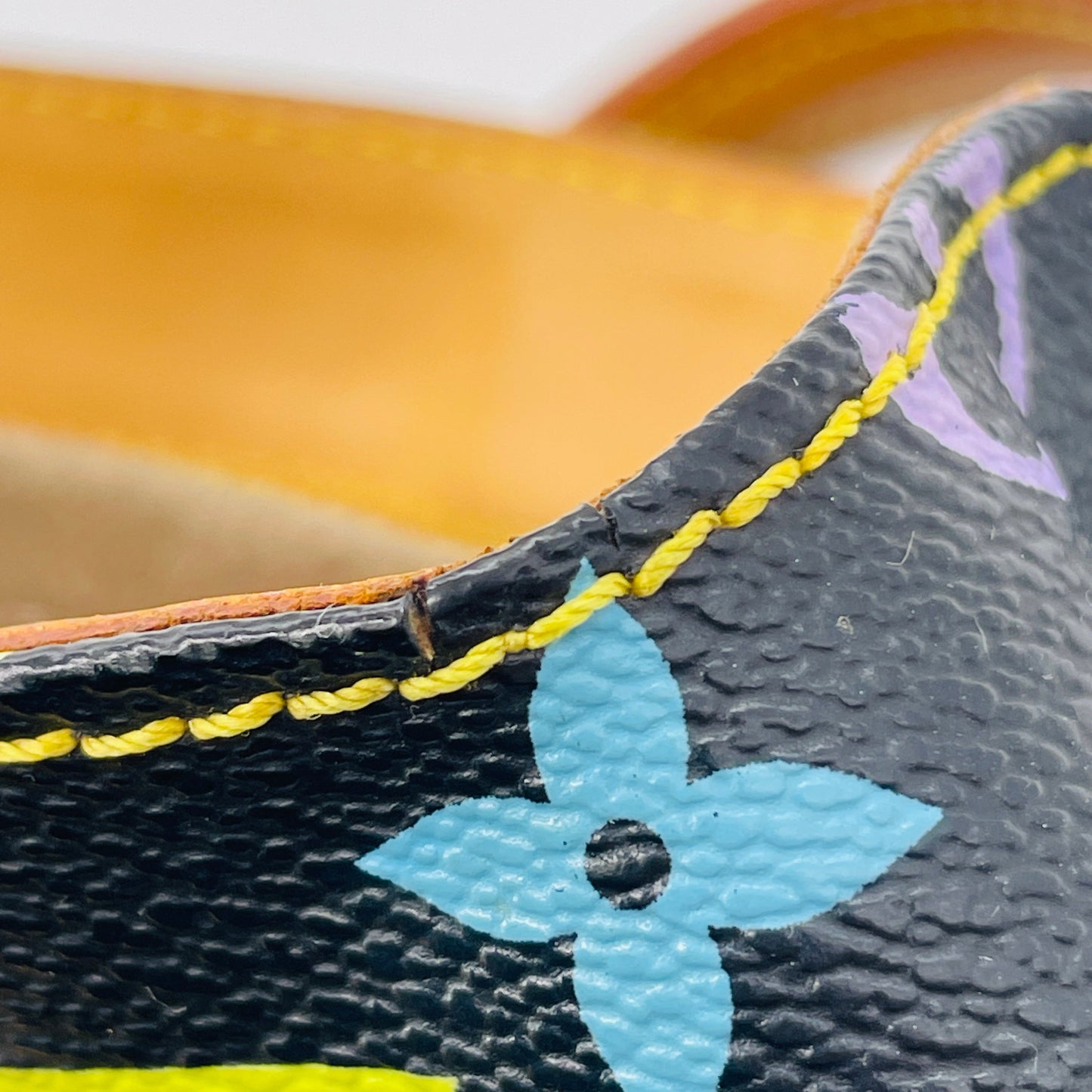 LOUIS VUITTON Multicolor Audra