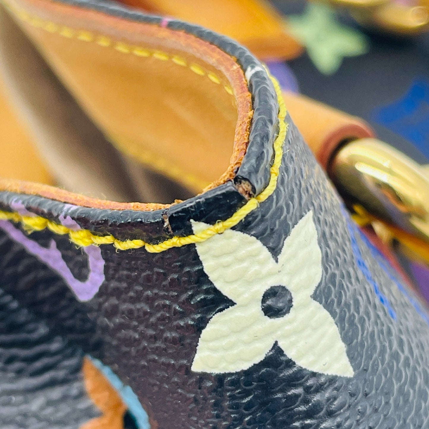 LOUIS VUITTON Multicolor Audra