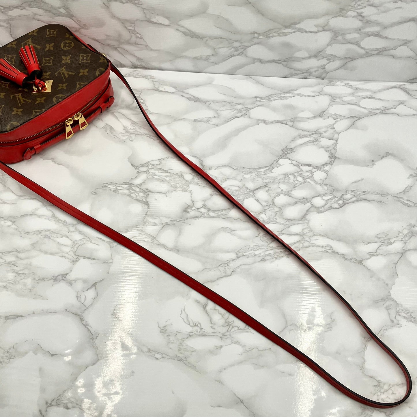 LOUIS VUITTON Monogram Saintonge