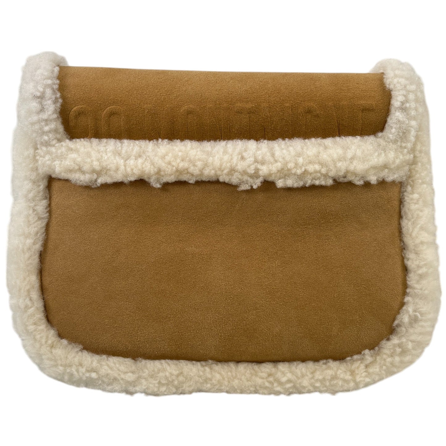 Women's Medium Bobby Suede Shearling Bag Beige