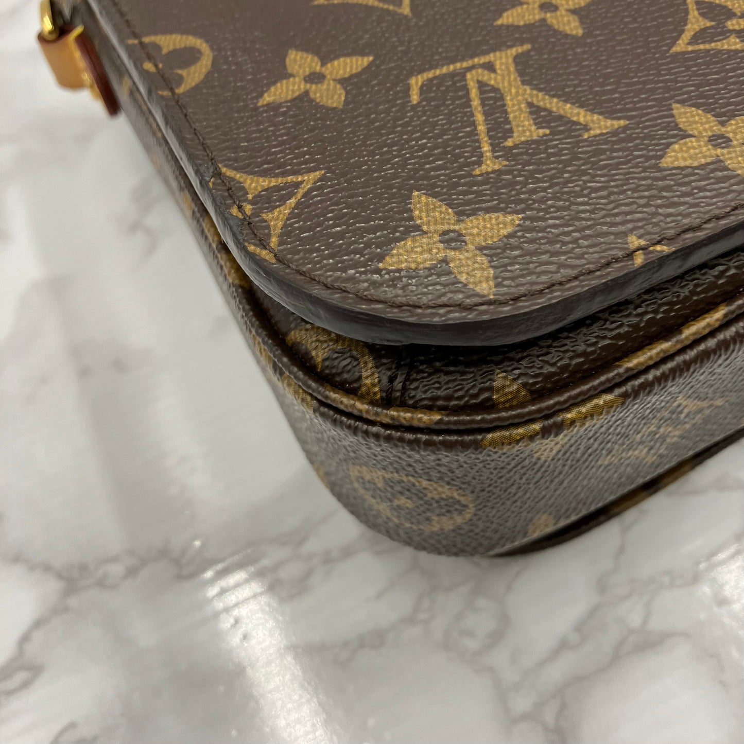 LOUIS VUITTON Monogram Metis shoulder bag