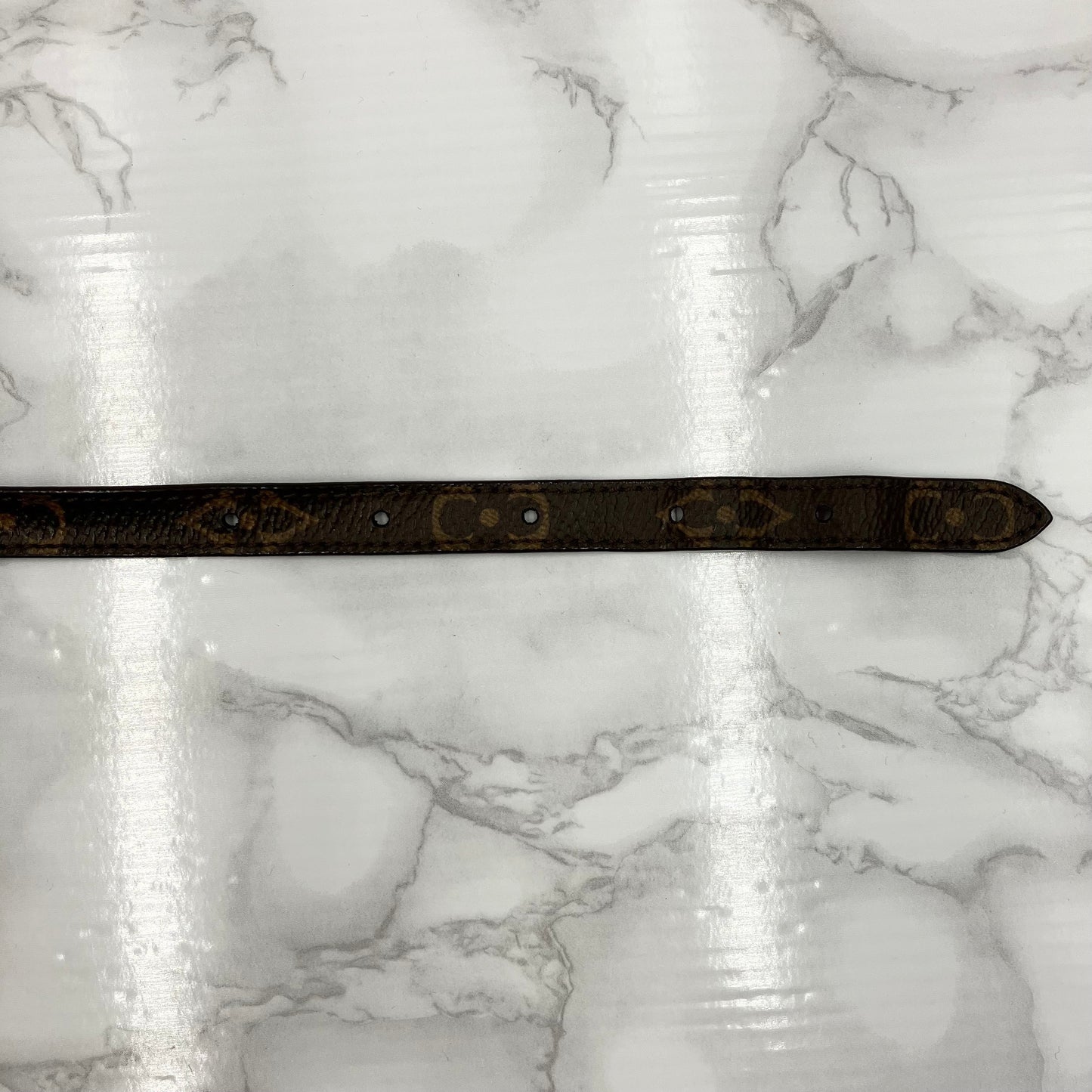 LOUIS VUITTON Monogram neck strap