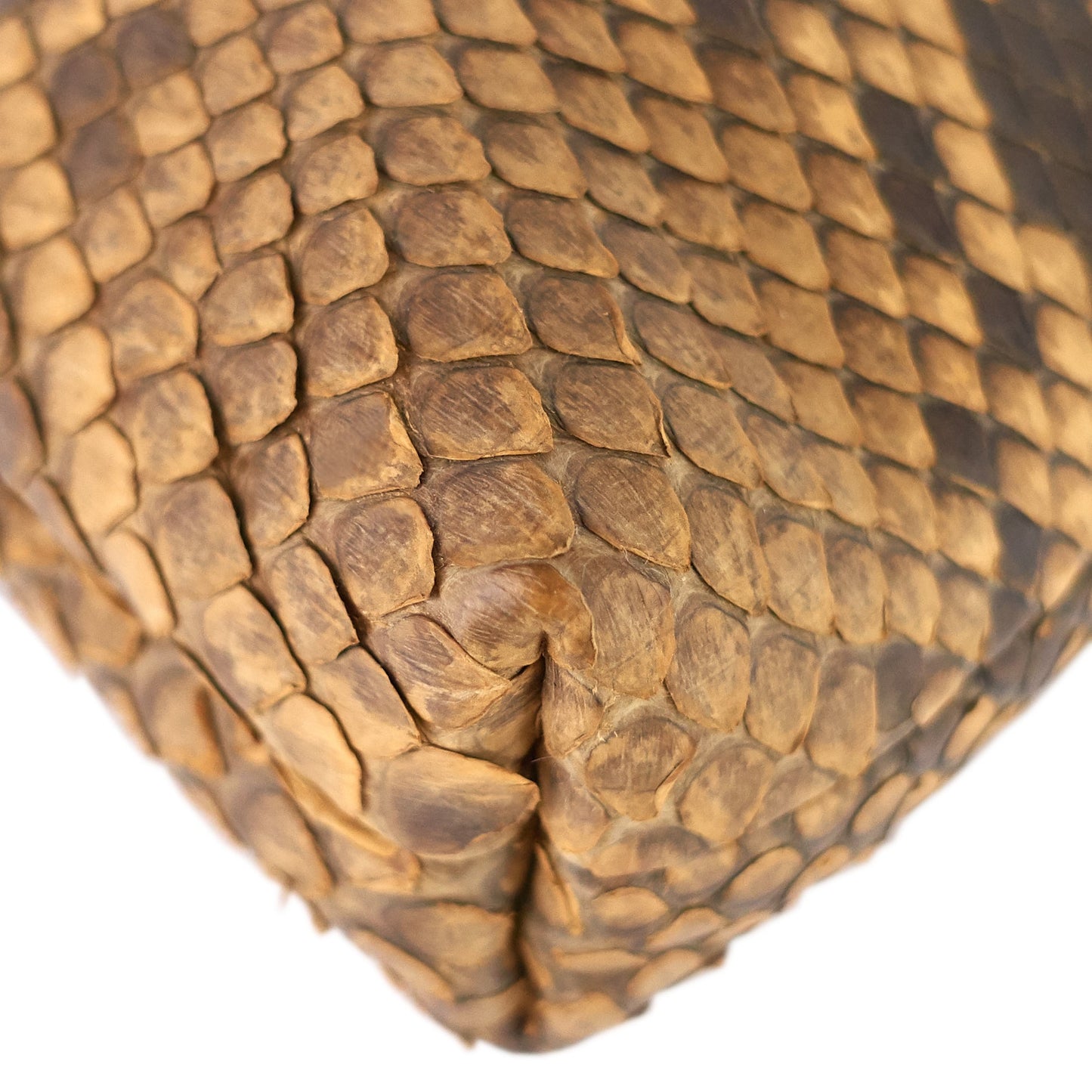 Zipped Python Leather Clutch Bag