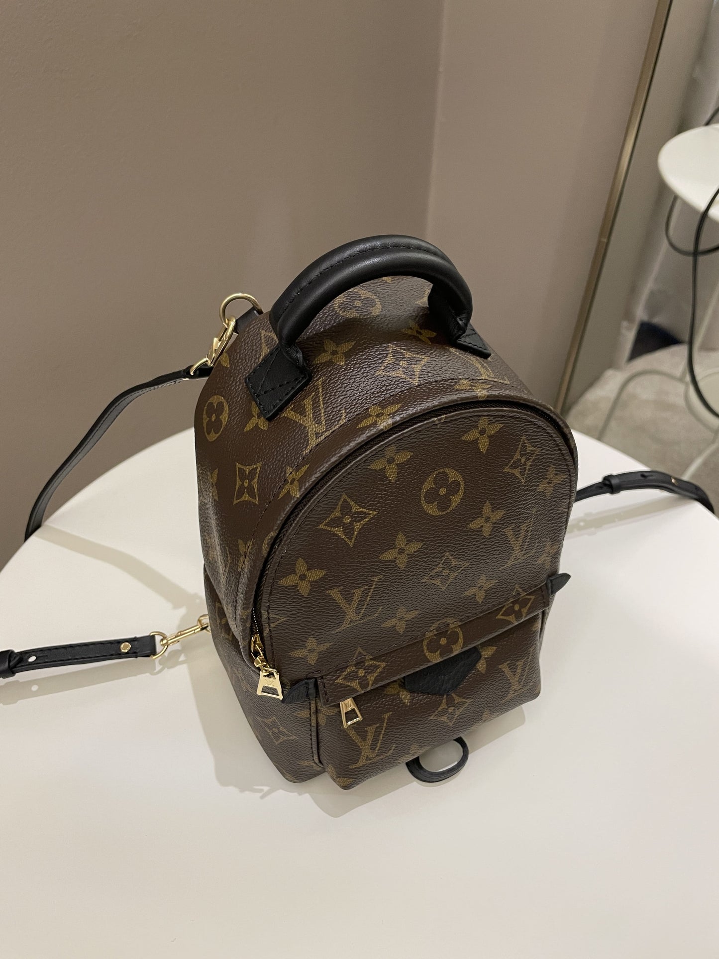 Louis Vuitton Palm Spring Mini Backpack Classic Monogram