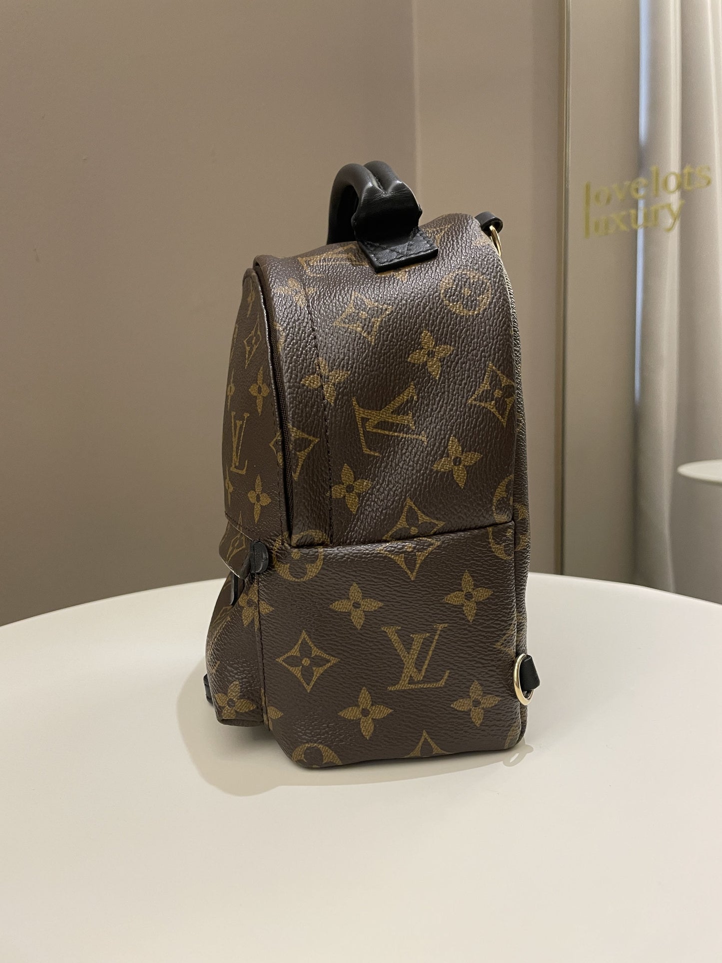Louis Vuitton Palm Spring Mini Backpack Classic Monogram