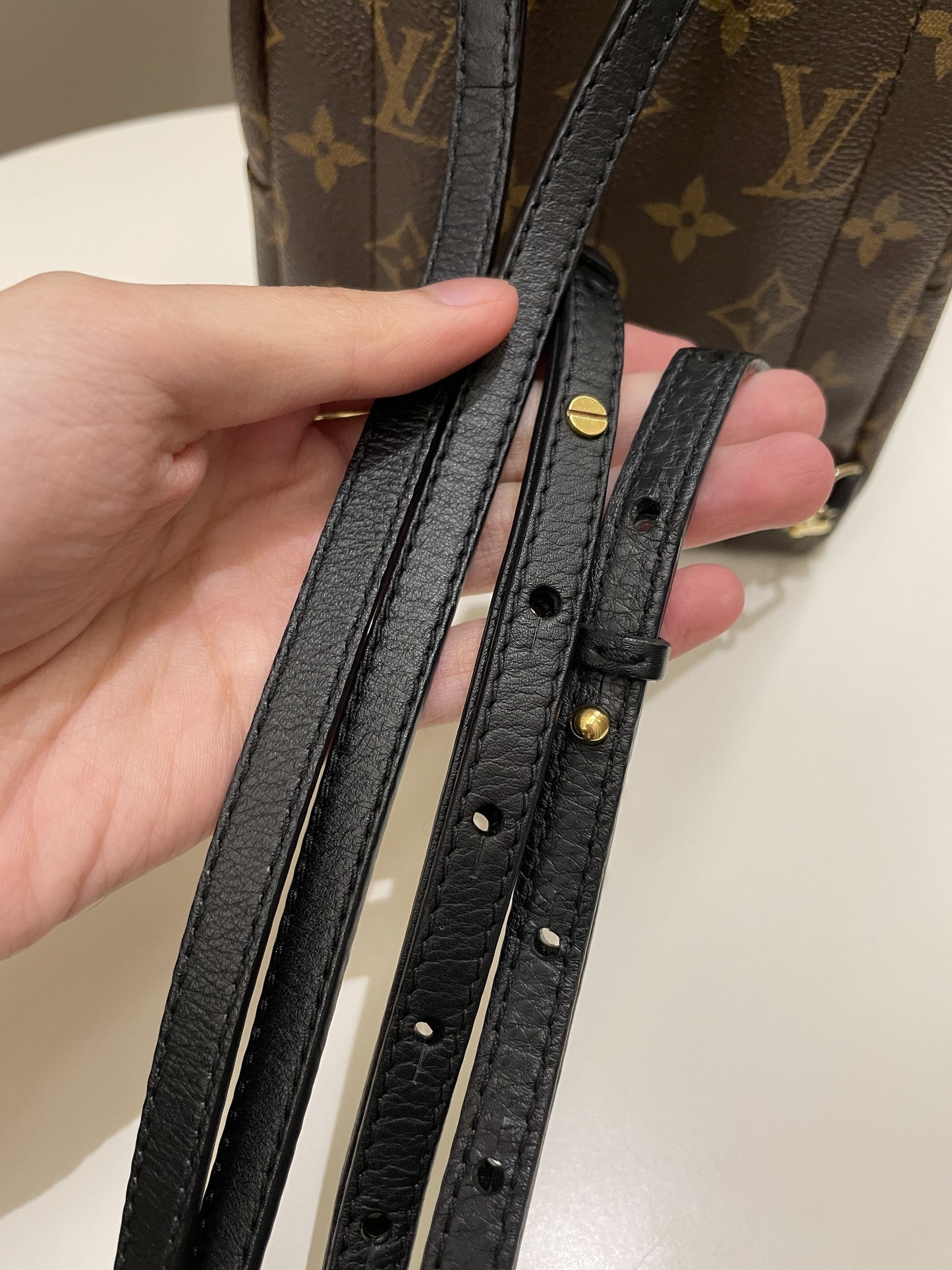 Louis Vuitton Palm Spring Mini Backpack Classic Monogram