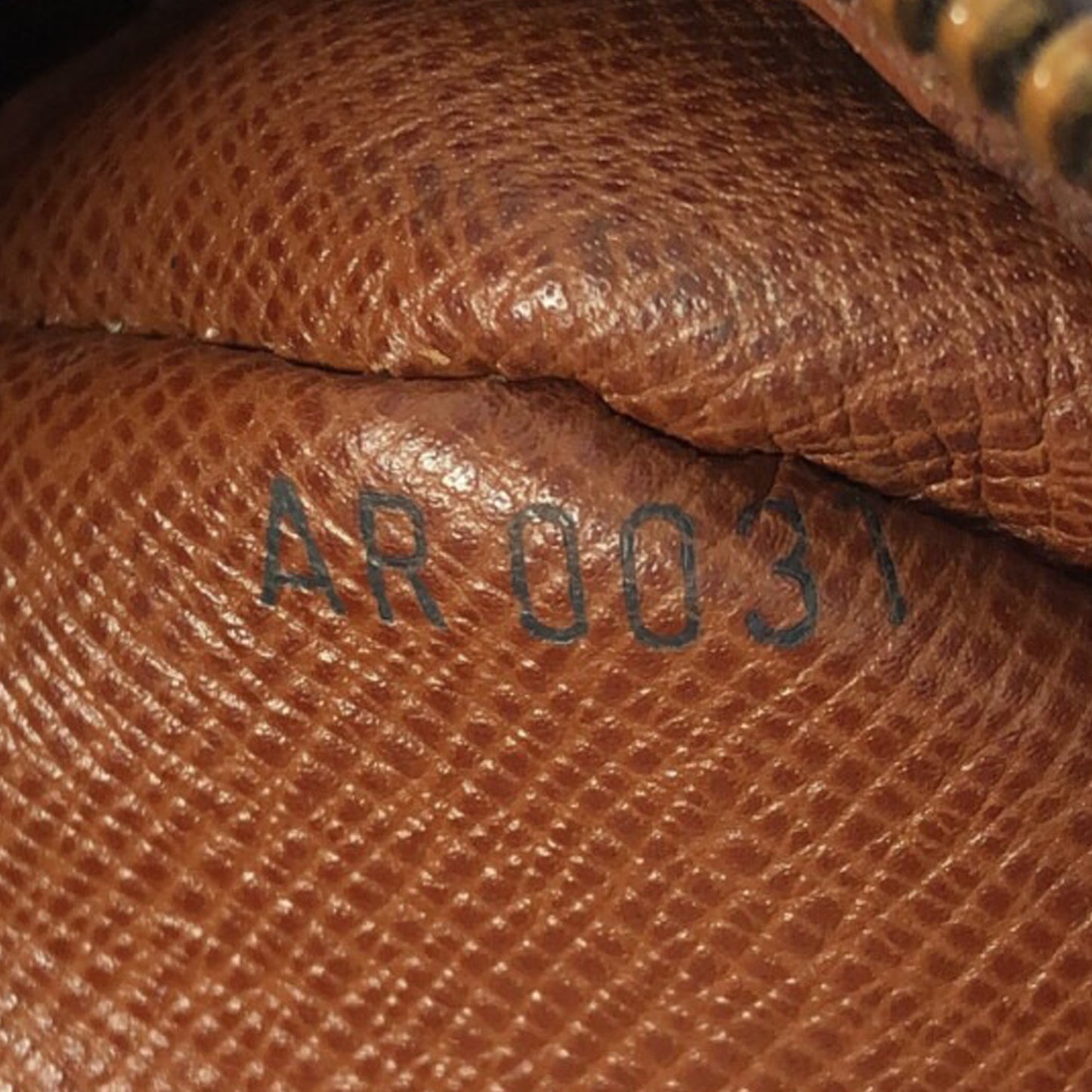 Brown Louis Vuitton Monogram Nil Crossbody Bag