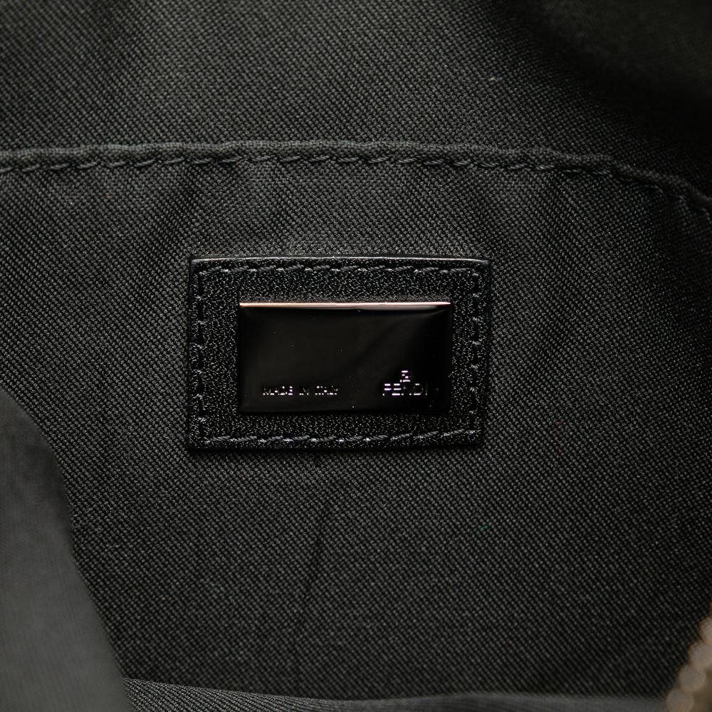 Brown Canvas Fendi Crossbody Bag